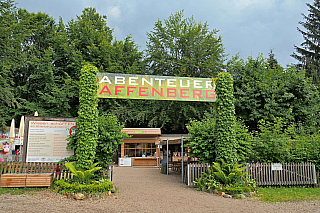 Makakové v Affenberg Landskron (Korutany - Rakousko)