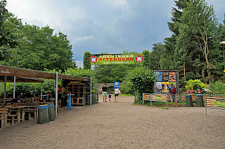 Makakové v Affenberg Landskron (Korutany - Rakousko)