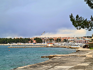 Novigrad (Istrie - Chorvatsko)