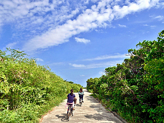 Okinawa (Japonsko)