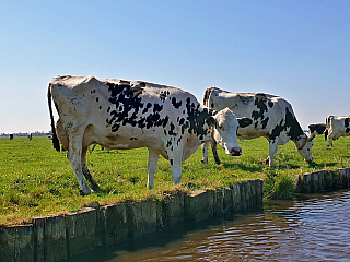 Theetuin Overleek (Nizozemsko)