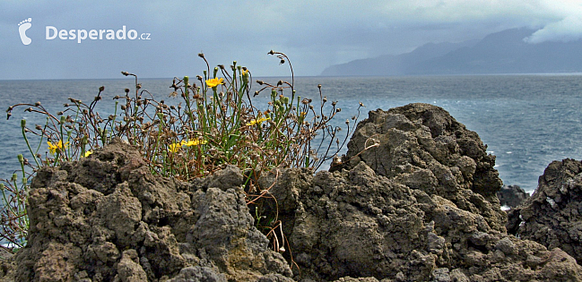 Porto Moniz (Madeira - Portugalsko)