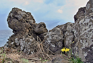 Porto Moniz (Madeira - Portugalsko)