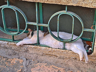 Rovinj (Istrie - Chorvatsko)