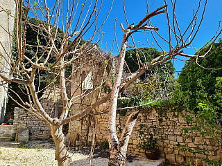 Bale (Istrie - Chorvatsko)