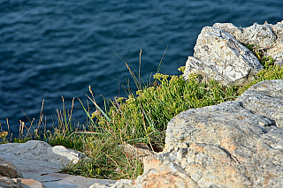 Pointe de Pen-Hir na poloostrově Crozon (Bretaň - Francie)