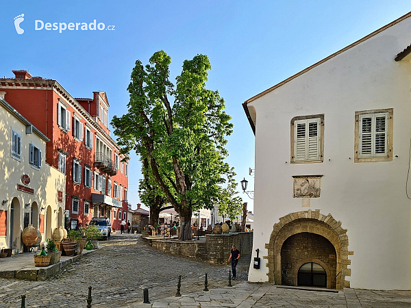 Motovun (Istrie - Chorvatsko)