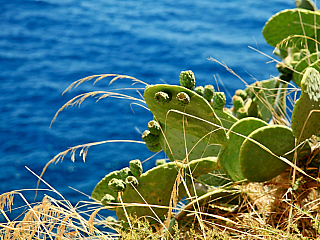 Bonifacio (Korsika - Francie)