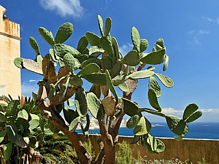 Bonifacio (Korsika - Francie)