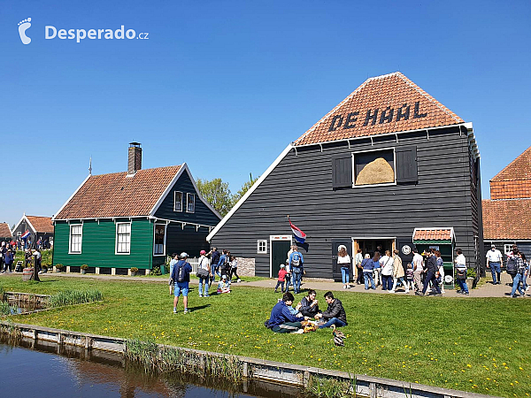 Zaandam (Nizozemsko)