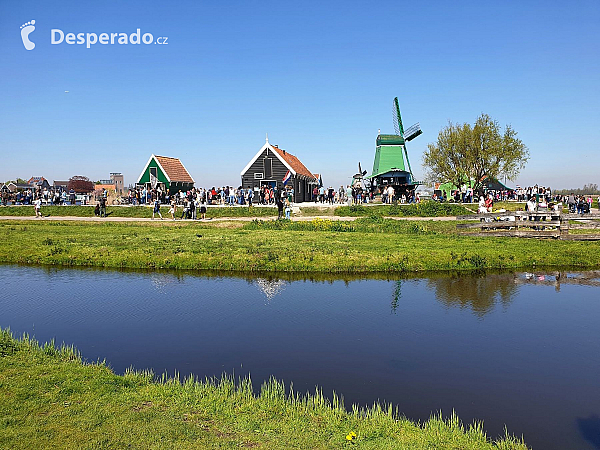 Zaandam (Nizozemsko)