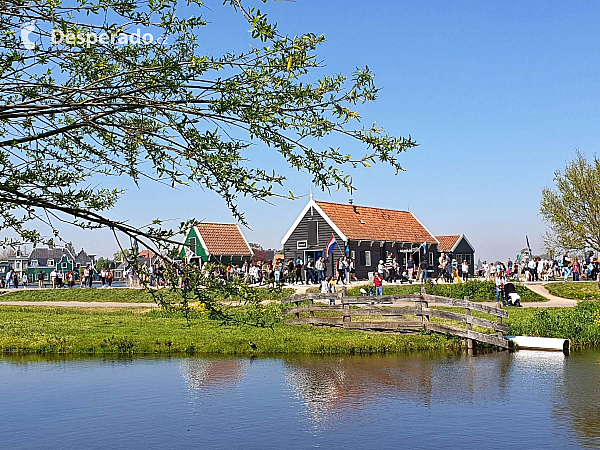 Zaandam (Nizozemsko)