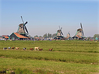 Zaandam (Nizozemsko)