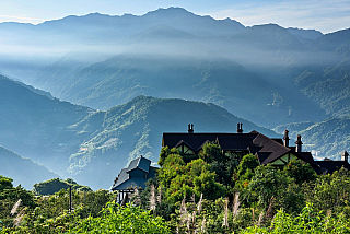 Čajové lístky z vrcholků hor (Alishan - Tchaj-wan)