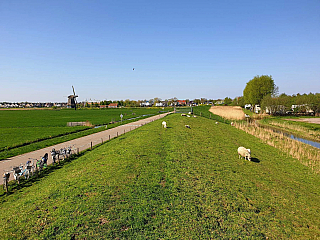 Volendam (Nizozemí)