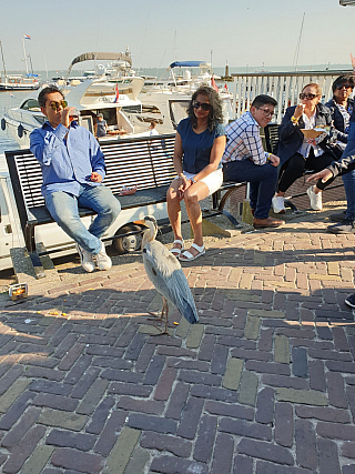 Volendam (Nizozemí)