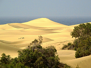 Písečné duny v Maspalomas (Gran Canaria - Španělsko)