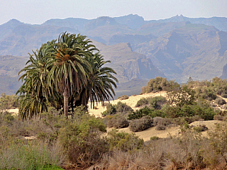 Písečné duny v Maspalomas (Gran Canaria - Španělsko)