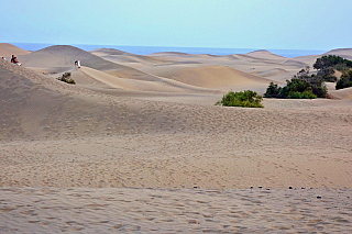 Písečné duny v Maspalomas (Gran Canaria - Španělsko)