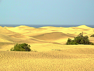 Písečné duny v Maspalomas (Gran Canaria - Španělsko)