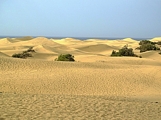 Písečné duny v Maspalomas (Gran Canaria - Španělsko)