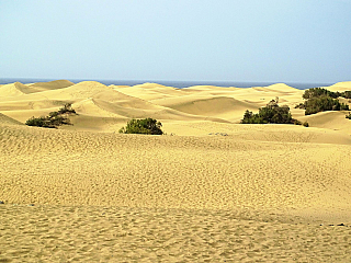 Maspalomas na ostrově Gran Canaria (Kanárské ostrovy - Španělsko)