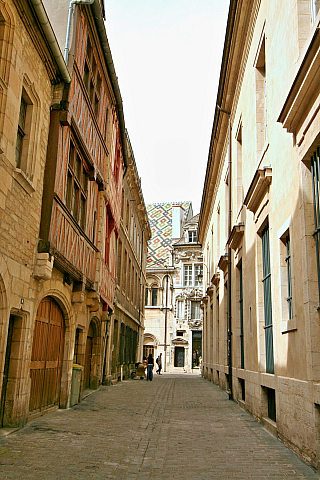 Dijon (Burgundsko-Franche-Comté - Francie)