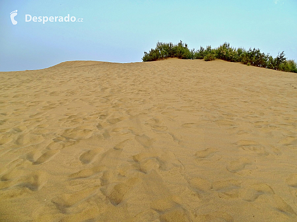 Maspalomas (Gran Canaria - Kanárské ostrovy - Španělsko)