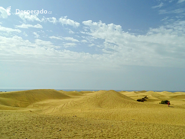 Maspalomas (Gran Canaria - Kanárské ostrovy - Španělsko)