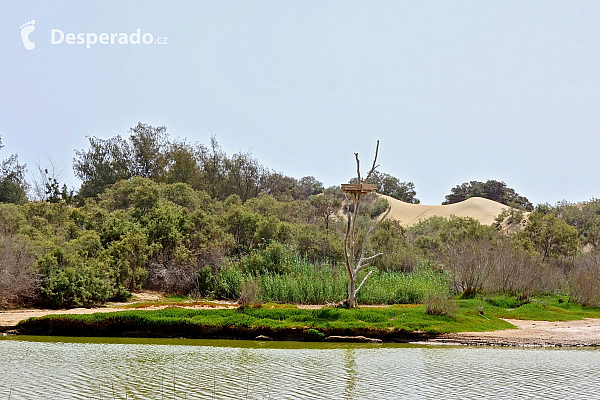 Maspalomas (Gran Canaria - Kanárské ostrovy - Španělsko)