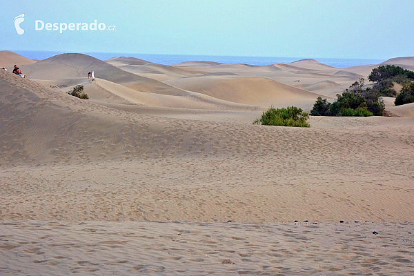 Maspalomas (Gran Canaria - Kanárské ostrovy - Španělsko)