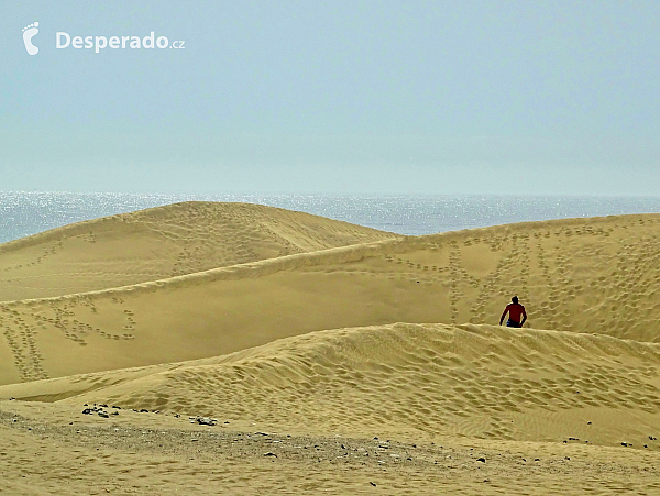 Maspalomas (Gran Canaria - Kanárské ostrovy - Španělsko)