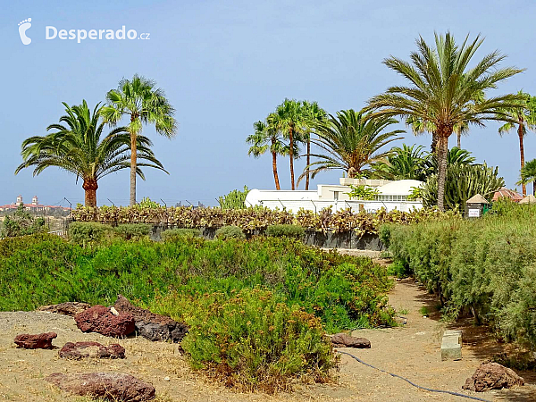 Maspalomas (Gran Canaria - Kanárské ostrovy - Španělsko)
