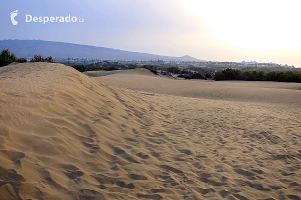 Maspalomas (Gran Canaria - Kanárské ostrovy - Španělsko)