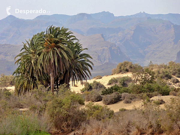 Maspalomas (Gran Canaria - Kanárské ostrovy - Španělsko)