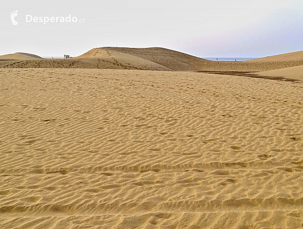 Maspalomas (Gran Canaria - Kanárské ostrovy - Španělsko)