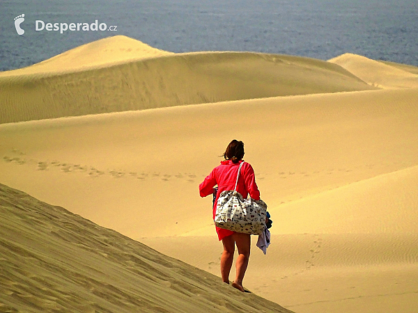 Maspalomas (Gran Canaria - Kanárské ostrovy - Španělsko)