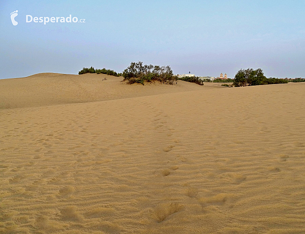 Maspalomas (Gran Canaria - Kanárské ostrovy - Španělsko)