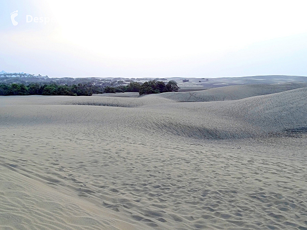 Maspalomas (Gran Canaria - Kanárské ostrovy - Španělsko)