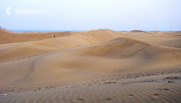 Maspalomas (Gran Canaria - Kanárské ostrovy - Španělsko)