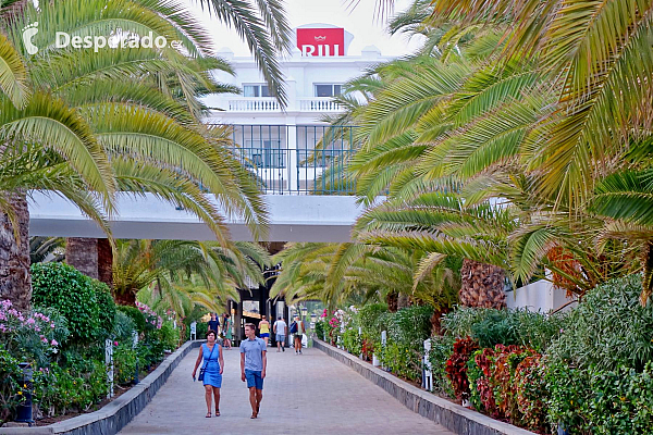 Maspalomas (Gran Canaria - Kanárské ostrovy - Španělsko)