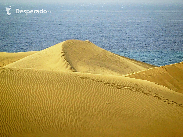 Maspalomas (Gran Canaria - Kanárské ostrovy - Španělsko)