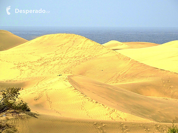 Maspalomas (Gran Canaria - Kanárské ostrovy - Španělsko)
