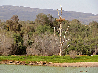 Maspalomas (Gran Canaria - Kanárské ostrovy - Španělsko)