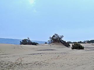 Maspalomas (Gran Canaria - Kanárské ostrovy - Španělsko)