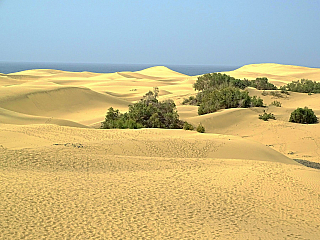 Maspalomas (Gran Canaria - Kanárské ostrovy - Španělsko)