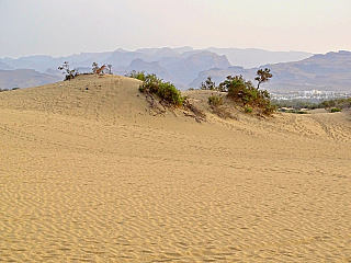 Maspalomas (Gran Canaria - Kanárské ostrovy - Španělsko)