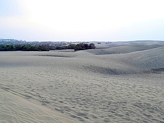 Maspalomas (Gran Canaria - Kanárské ostrovy - Španělsko)