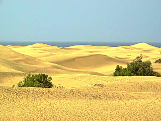 Maspalomas (Gran Canaria - Kanárské ostrovy - Španělsko)