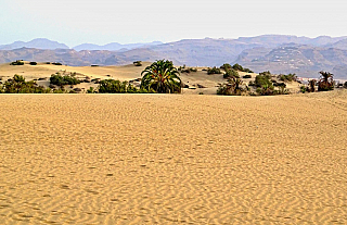 Maspalomas (Gran Canaria - Kanárské ostrovy - Španělsko)